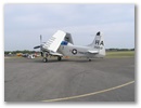 px1010041.jpg